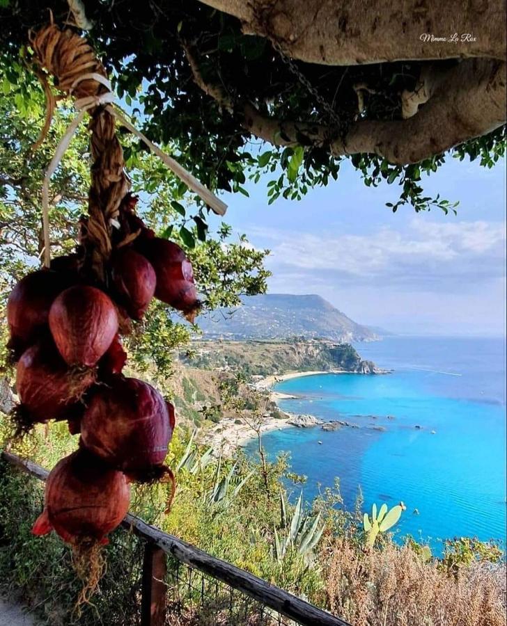 Dreams Tropea Mare "Parking Private" Bed & Breakfast エクステリア 写真