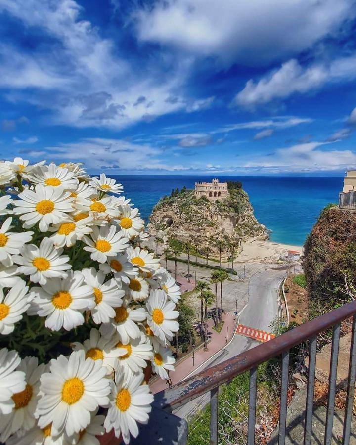 Dreams Tropea Mare "Parking Private" Bed & Breakfast エクステリア 写真